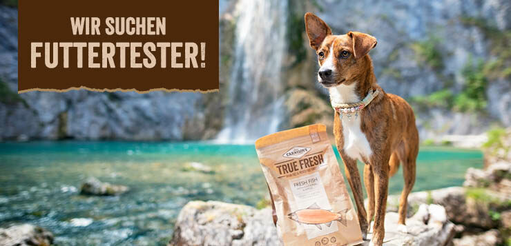 Wir suchen Mensch-Hund-Teams, die das Futter True Fresh von Carnilove testen!
