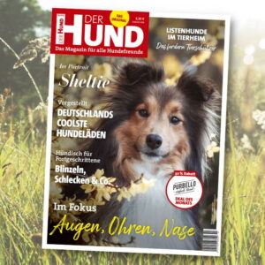 Vom Cover der September-Ausgabe schaut die Betrachter ein Sheltie an