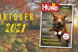 Hintergrund: Bunter Herbstwald im Sonnenschein. Vorne: Das Cover der Oktober-Ausgabe zeigt einen Toller mit Fasanen-Dummy.