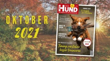 Hintergrund: Bunter Herbstwald im Sonnenschein. Vorne: Das Cover der Oktober-Ausgabe zeigt einen Toller mit Fasanen-Dummy.