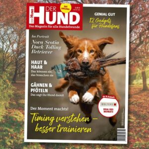 Cover DER HUND Oktober 2021, Nova Scotia Duck Tolling Retriever mit Fasanen-Dummy