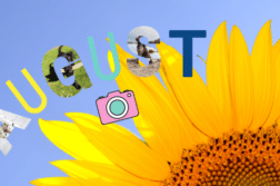 Die Gewinner der Fotowahl im August 2021