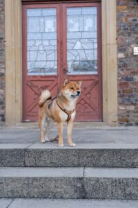 Shiba Zuko steht an einer Treppe, hinter ihm ist eine rote Tür mit Glasfenstern zu sehen.