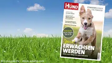 Der Hund Sonderheft Erwachsen werden