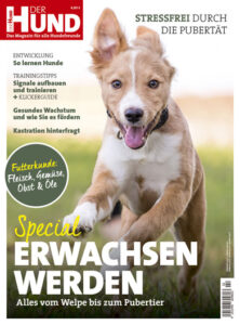 Cover Sonderheft Erwachsenen werden