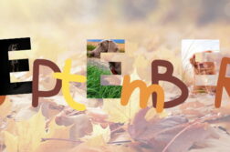 Das Wort September in Herbstfarben. Die "E"s zeigen Ausschnitte der 3 Fotos, die im September bei der Fotowahl die meisten Stimmen bekommen haben.
