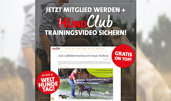 Upgrade zum Welthundetag Video zum Anti-Giftködertraining als Willkommensprämie zum Welthundetag