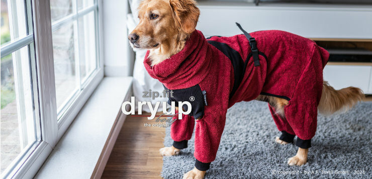 Ein Hund trägt einen dry up Body Zip Fit Hundebademantel