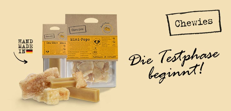 Die Testphase der Chewies Hundesnacks beginnt