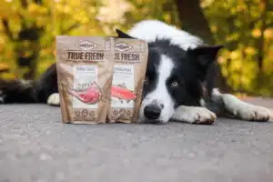 Border Collie Army testet das Carnilove True Fresh Trockenfutter.