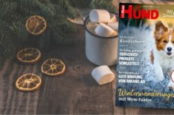 Genieße den Dezember mit hundtastischem Lesespaß!
