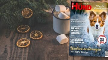 Genieße den Dezember mit hundtastischem Lesespaß!