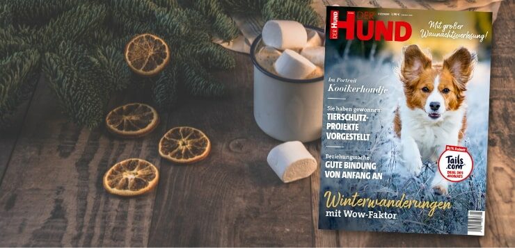 Genieße den Dezember mit hundtastischem Lesespaß!