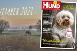 Die November-Ausgabe von DER HUND erscheint 2021 am 3. November.