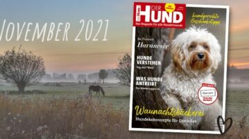 Die November-Ausgabe von DER HUND erscheint 2021 am 3. November.
