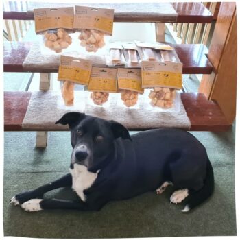 DERHUND_Chewies_Finy