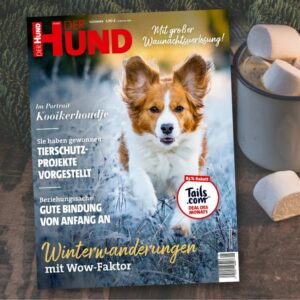 Das Cover der Dezember-Ausgabe zeigt ein Kooikerhondje, das durch gefrorenes Gras mit fliegenden Ohren auf die Betrachtenden zurennt.
