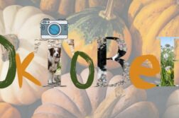 Die Gewinnerfotos der Online-Fotowahl im Oktober 2021