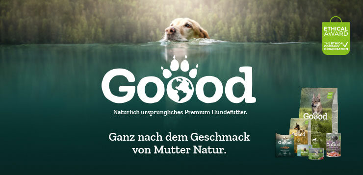 Ein Hund schwimmt im Wasser hinter dem Goood Logo