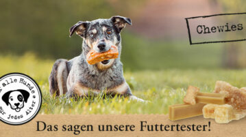 Chewies Community-Test: die finalen Fazits DER HUND Community-Test Chewies Snacks: Zwischenberichte der Testenden