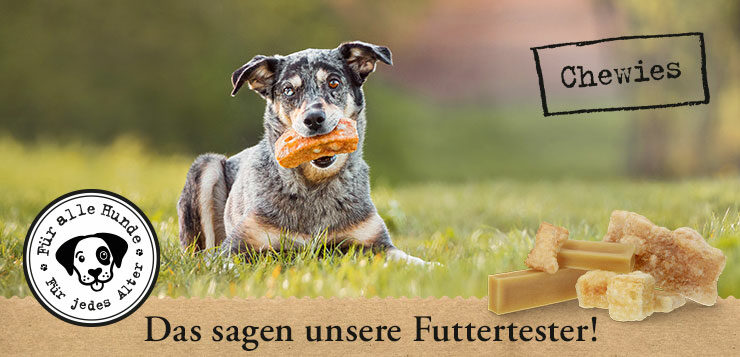 DER HUND Community-Test Chewies Snacks: Zwischenberichte der Testenden