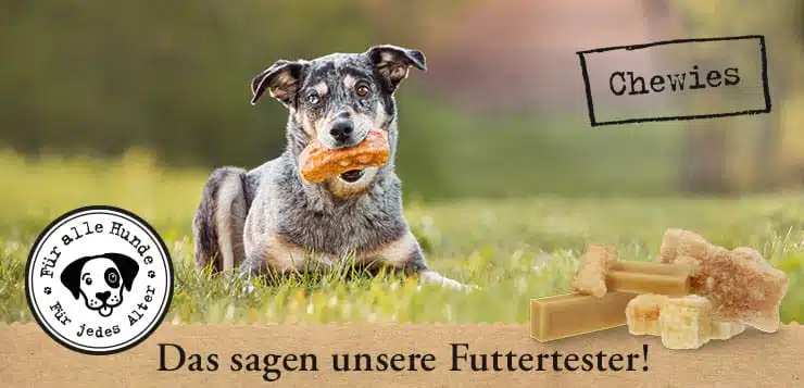 DER HUND Community-Test Chewies Snacks: Zwischenberichte der Testenden