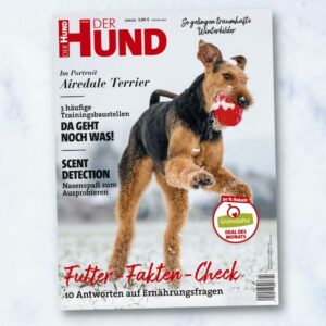 Januar-Cover DER HUND, 2022, mit Airedale Terrier Rakete als Cover-Model!