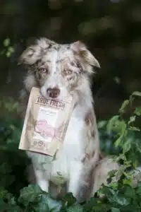 Border Collie Cody hält eine Packung True Fresh Turkey