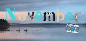 Das Wort November. Im Hintergrund ein See, auf dem Schwäne schwimmen.
