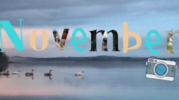 Das Wort November. Im Hintergrund ein See, auf dem Schwäne schwimmen.