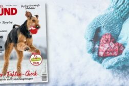 Die Januar 2022 Ausgabe von DER HUND erscheint am 5.1.