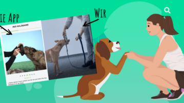 Angetestet: Die Hundeo-App