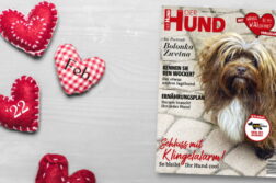 Die Februar-Ausgabe von DER HUND
