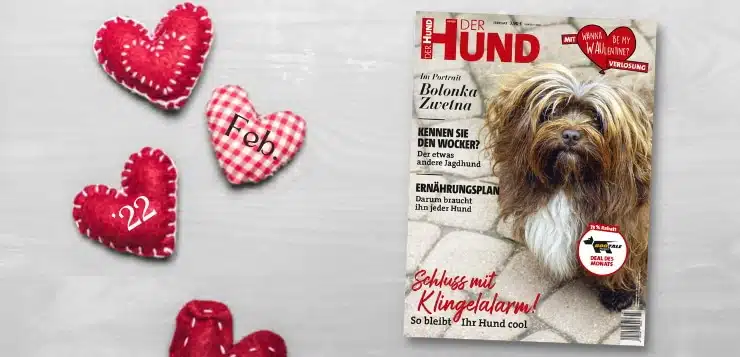 Die Februar-Ausgabe von DER HUND