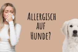 Eine Frau in weißem Langarmshirt und mit langen blonden Haaren schnäuzt sich. Rechts sitzt ein Golden Retriever Welpe und schaut den Betrachter an.