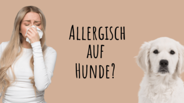 Eine Frau in weißem Langarmshirt und mit langen blonden Haaren schnäuzt sich. Rechts sitzt ein Golden Retriever Welpe und schaut den Betrachter an.