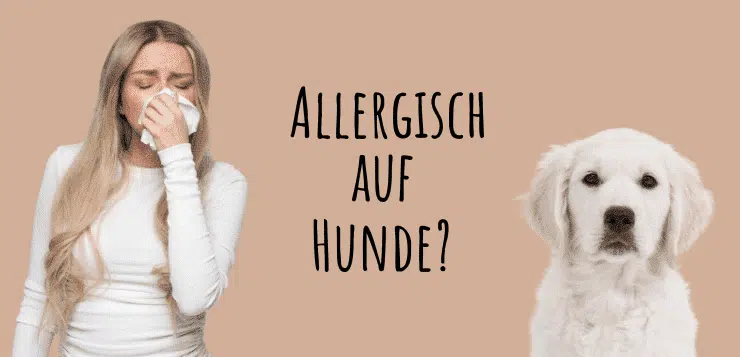 Eine Frau in weißem Langarmshirt und mit langen blonden Haaren schnäuzt sich. Rechts sitzt ein Golden Retriever Welpe und schaut den Betrachter an.