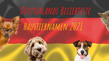 Wir zeigen die beliebtesten Hundenamen und Katzennamen 2021