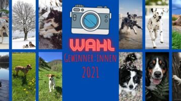 Die 12 Siegerfotos der Online-Fotowahl 2021 von DER HUND
