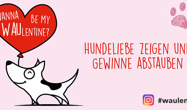 Große WAUlentine-Verlosung