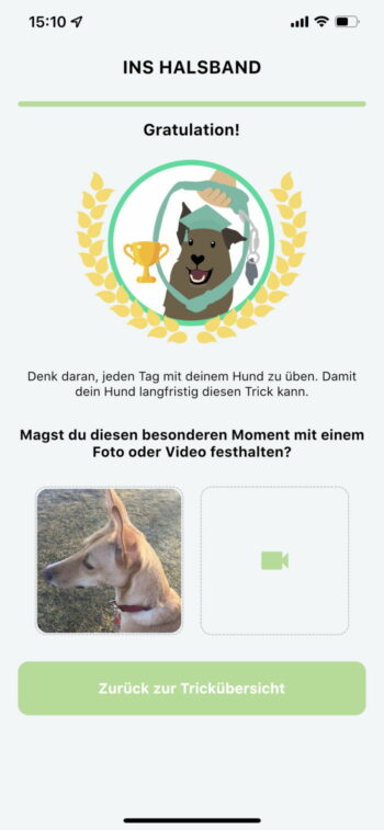 Gratulation in der Hundeo App