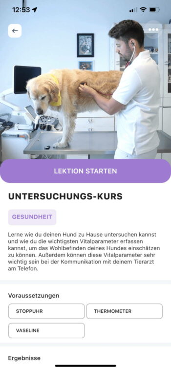 kurs-beispiel-min