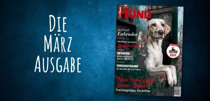 Die März-Ausgabe von DER HUND, 2022