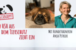 Hundetrainerin Anja Petrick spricht darüber, wie sie Herdenschutzhund Yuno aus dem Tierschutz hilft.