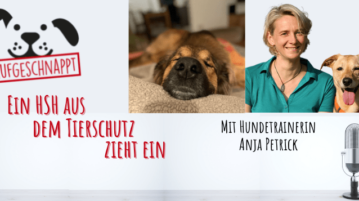 Hundetrainerin Anja Petrick spricht darüber, wie sie Herdenschutzhund Yuno aus dem Tierschutz hilft.