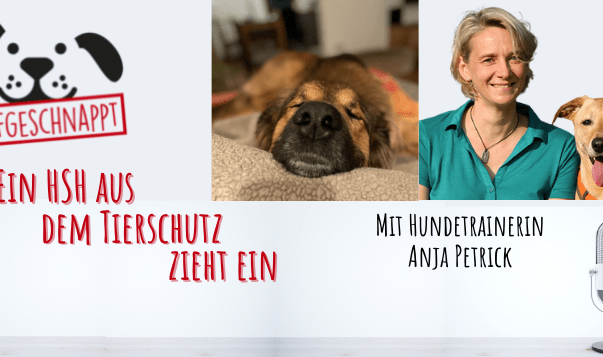 Hundetrainerin Anja Petrick spricht darüber, wie sie Herdenschutzhund Yuno aus dem Tierschutz hilft.