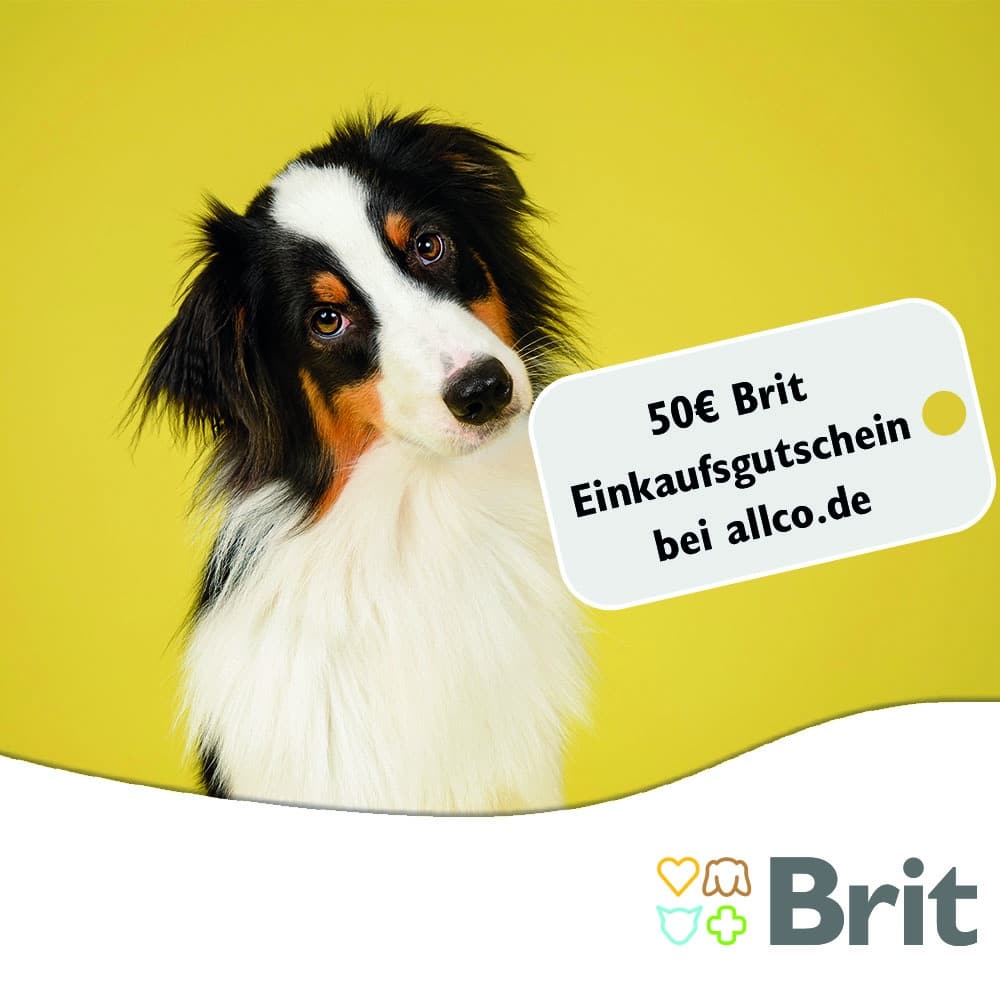 Brit Ostergewinn