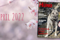 DER HUND Ausgabe April 2022