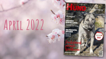 DER HUND Ausgabe April 2022
