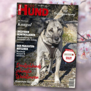 Das DER HUND Cover im April 2022 zeigt Kangal-Hündin Toprak aus dem Tierheim München.